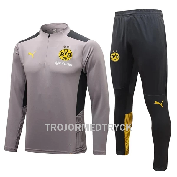 BVB Borussia Dortmund Träningsträningsoverall Quarter-Zip 22/23 Ljusgrå