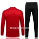 Manchester United Champions League Träningsträningsoverall Quarter-Zip Barn 22/23 Röd vit