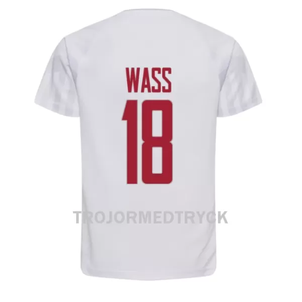 Danmark Daniel Wass 18 VM 2022 Fotbollströja Borta