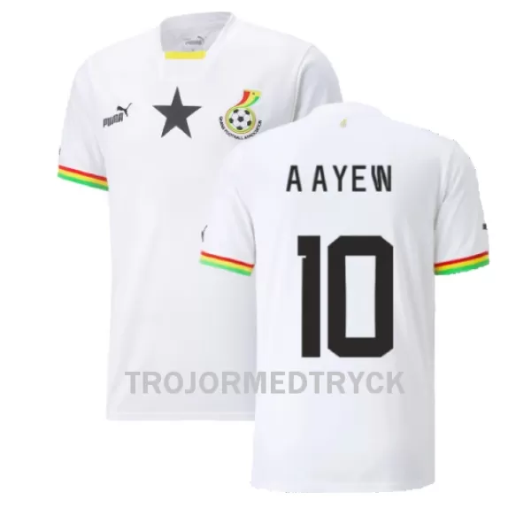 Ghana Andre Ayew 10 VM 2022 Fotbollströja Hemma