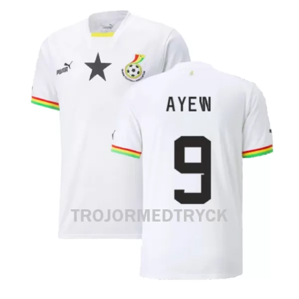 Ghana Ayew 9 VM 2022 Fotbollströja Hemma Jordan