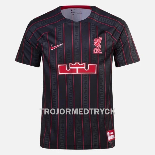 Liverpool X Lebron James Nike Tränings tröjor 2023