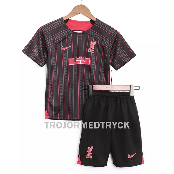 Liverpool X Lebron James Nike Tränings tröjor Barn 2023