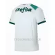 Palmeiras Fotbollströja Borta 2023/24