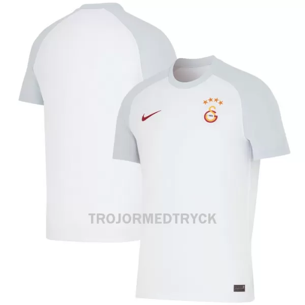 Galatasaray Fotbollströja Borta 2023/24