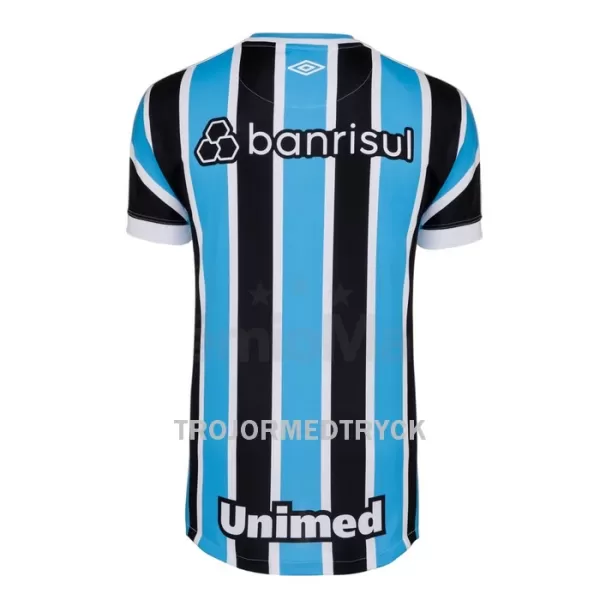 Grêmio Fotbollströja Barn Hemma 2023/24