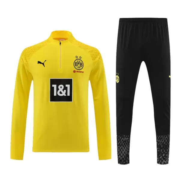 Borussia Dortmund Träningströja Quarter-Zip 2023/24 Gul