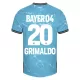 Bayer Leverkusen Alejandro Grimaldo 20 Fotbollströja Tredje 2023/24