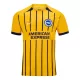 Brighton Hove Albion Fotbollströja Borta 2024/25