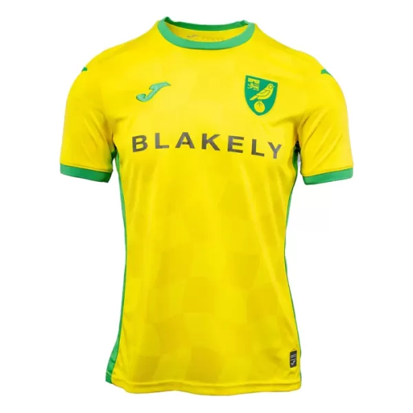 Norwich City Fotbollströja Hemma 2024/25