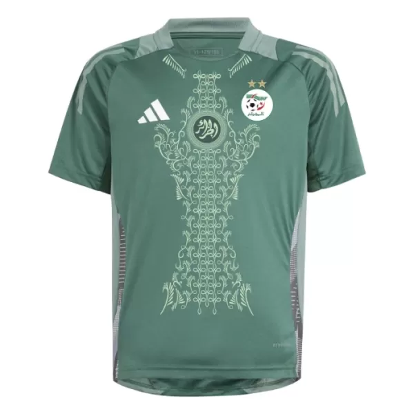 Nigeria Fotbollströja 2024 Grön - Speciell